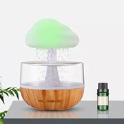 Aromatherapy Diffuser Humidifier