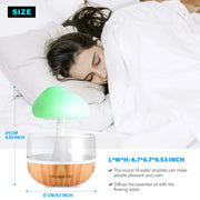 Aromatherapy Diffuser Humidifier